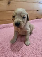 processed/d1b0405f-f760-46bd-8e46-88fec02a2935/listing/476581d9-e065-49e9-bdbf-1612631f0f27/a7a0759c-89b1-4b06-9471-95348fd8ae56