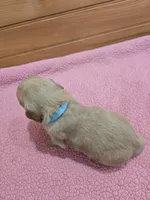 processed/d1b0405f-f760-46bd-8e46-88fec02a2935/listing/476581d9-e065-49e9-bdbf-1612631f0f27/fa28f385-2819-42f6-8eb6-fd4d584455b4