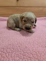 processed/d1b0405f-f760-46bd-8e46-88fec02a2935/listing/66c65722-5f8b-45d1-9115-ffa19f60e5b8/9304f688-4e13-42ea-ac6c-00cf611a87c0