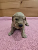 processed/d1b0405f-f760-46bd-8e46-88fec02a2935/listing/66c65722-5f8b-45d1-9115-ffa19f60e5b8/a74ca18d-cb00-4a5c-abcd-cdc13e2692fc