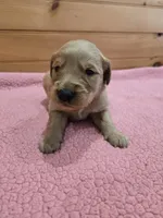 processed/d1b0405f-f760-46bd-8e46-88fec02a2935/listing/66c65722-5f8b-45d1-9115-ffa19f60e5b8/b1ccb3db-f635-4ce5-8eb3-ec00813d8b0c