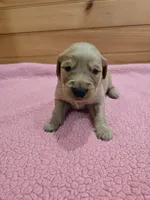 processed/d1b0405f-f760-46bd-8e46-88fec02a2935/listing/66c65722-5f8b-45d1-9115-ffa19f60e5b8/ddbdf03c-1c87-4d7d-b2cd-d7b1fa403bbe