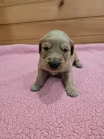 processed/d1b0405f-f760-46bd-8e46-88fec02a2935/listing/66c65722-5f8b-45d1-9115-ffa19f60e5b8/f573b7ef-161e-4418-8675-76e5e38e01fc