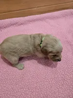 processed/d1b0405f-f760-46bd-8e46-88fec02a2935/listing/66c65722-5f8b-45d1-9115-ffa19f60e5b8/f8b473dc-a208-4d71-b512-c2322d78f68b