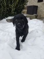 processed/d1b0405f-f760-46bd-8e46-88fec02a2935/listing/6f8efd1b-4179-4310-8a80-32618f21b63f/a0a9154e-3065-45d7-b606-36872159b0b4