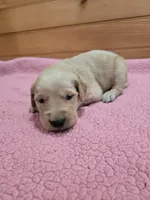 processed/d1b0405f-f760-46bd-8e46-88fec02a2935/listing/c413995e-351d-4887-a615-951a6460aec5/2c0db3e9-ce3a-47ef-9128-14ed49e0155e