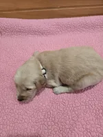 processed/d1b0405f-f760-46bd-8e46-88fec02a2935/listing/c413995e-351d-4887-a615-951a6460aec5/4827a560-0778-48bc-b372-4850383bcf2e