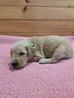 processed/d1b0405f-f760-46bd-8e46-88fec02a2935/listing/c413995e-351d-4887-a615-951a6460aec5/fd8cbc5e-83b2-4ee9-8a6b-134d2eb27d73