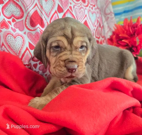 processed/d1b0cb70-111d-42e6-8f56-e524b830040a/listing/50861041-bfd4-488f-8872-e6281c2ac7e6/79259ffb-34f8-4d14-a946-4053b7be7344