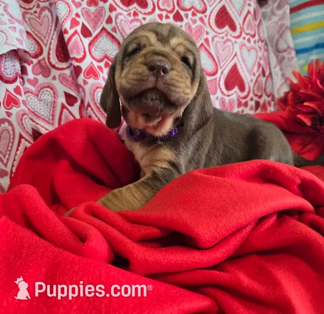 processed/d1b0cb70-111d-42e6-8f56-e524b830040a/listing/50861041-bfd4-488f-8872-e6281c2ac7e6/9e3f7273-5c75-448f-8465-0012a96b8a61