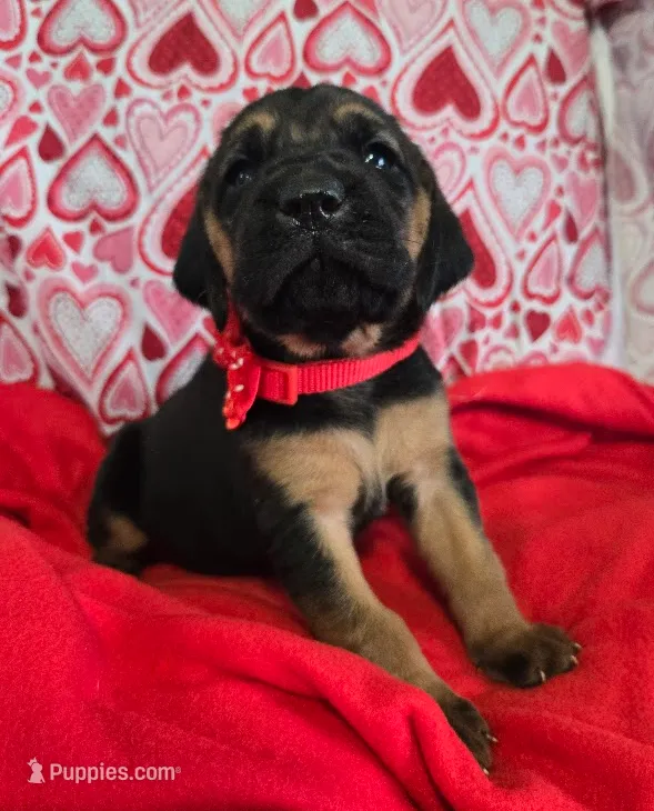 processed/d1b0cb70-111d-42e6-8f56-e524b830040a/listing/6cd940ca-5cd1-4d81-9cbb-97913340b338/235a89f3-1bb0-49fe-88a7-021b2a80c2fd