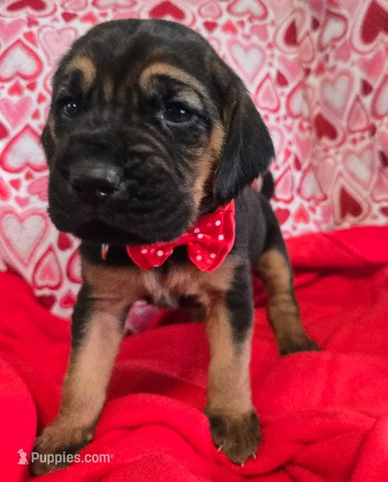 processed/d1b0cb70-111d-42e6-8f56-e524b830040a/listing/6cd940ca-5cd1-4d81-9cbb-97913340b338/bc57456c-6bac-4559-bc3e-b58f9c2de61b