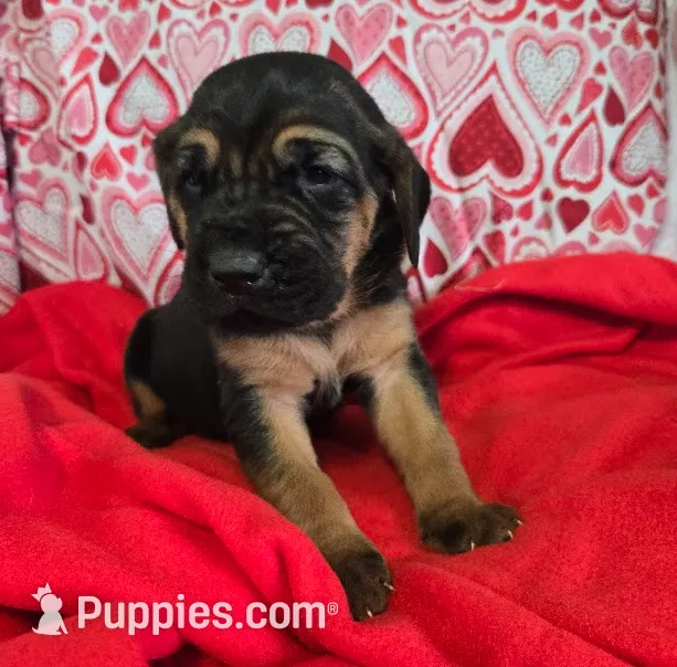 processed/d1b0cb70-111d-42e6-8f56-e524b830040a/listing/6cd940ca-5cd1-4d81-9cbb-97913340b338/c12b8086-fec9-4401-b044-d545fb87c472