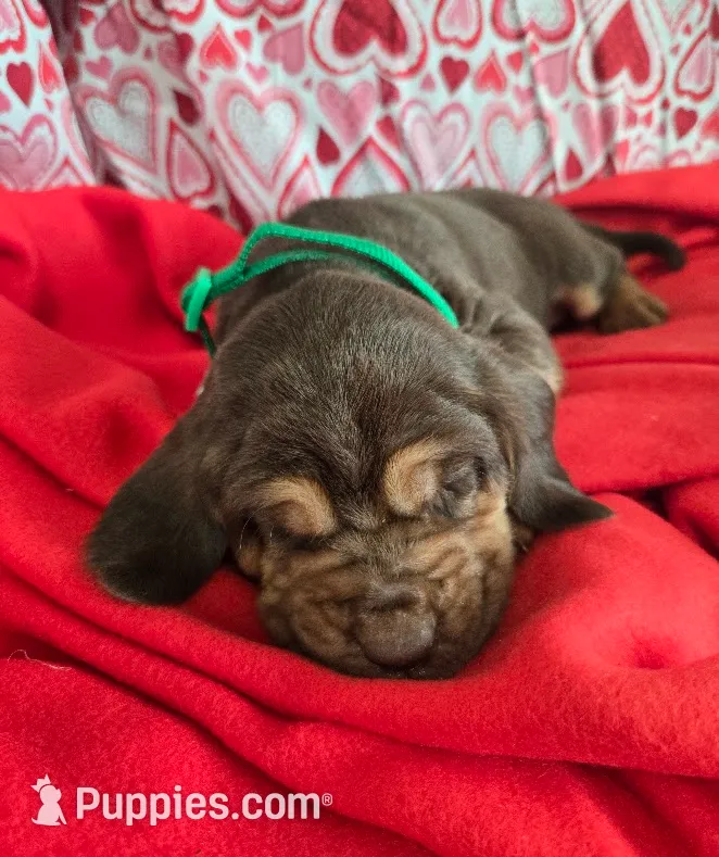 processed/d1b0cb70-111d-42e6-8f56-e524b830040a/listing/a921efb2-baa4-4b07-8240-a8dc652568c5/d4efb429-794f-45d6-bcf4-b805747bdc90