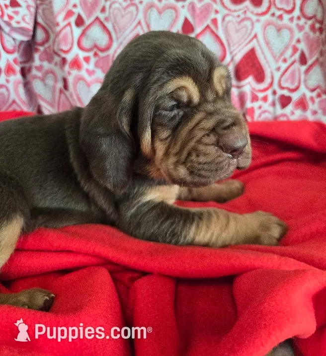 processed/d1b0cb70-111d-42e6-8f56-e524b830040a/listing/a921efb2-baa4-4b07-8240-a8dc652568c5/f4453e1c-2448-4969-8179-393df8300785