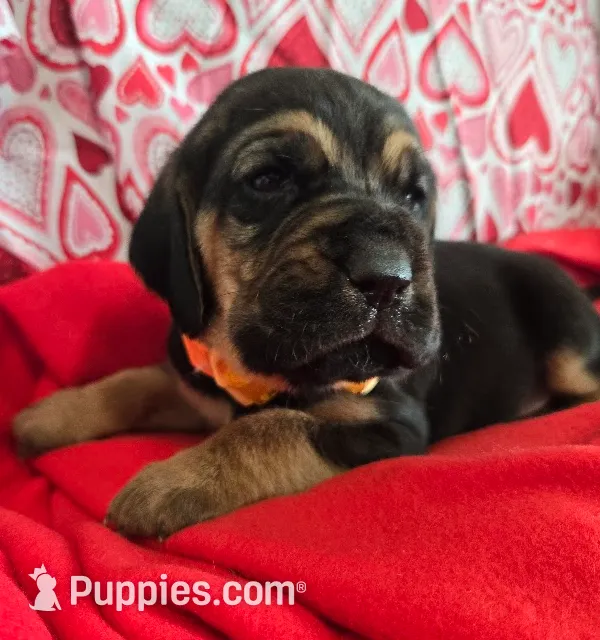 processed/d1b0cb70-111d-42e6-8f56-e524b830040a/listing/a9ab7c40-3102-4642-a9d5-e3f62263e1ef/1719c4a6-80a5-48cf-9590-c61d8e363177