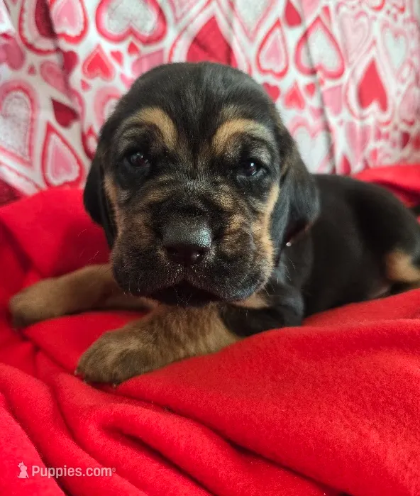 processed/d1b0cb70-111d-42e6-8f56-e524b830040a/listing/a9ab7c40-3102-4642-a9d5-e3f62263e1ef/d428339b-80a3-498e-9a97-b7f1889503b3