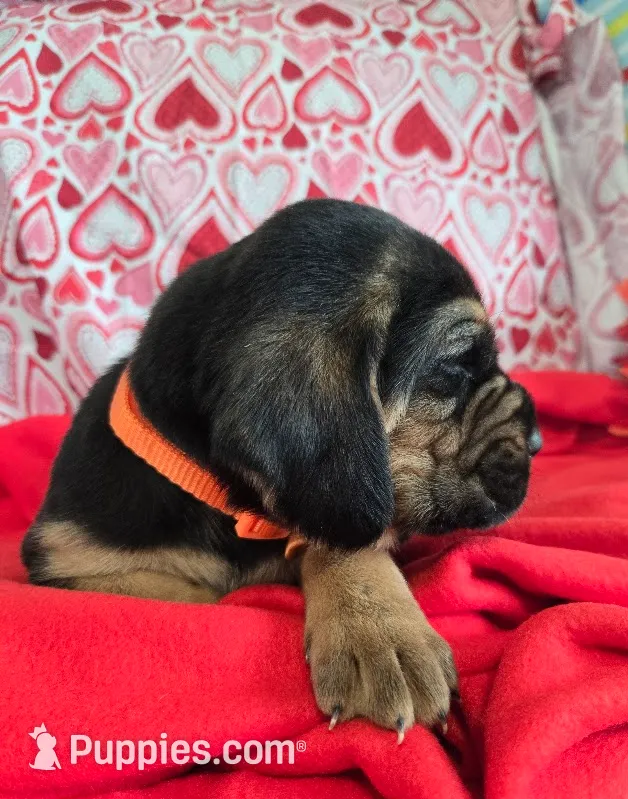 processed/d1b0cb70-111d-42e6-8f56-e524b830040a/listing/a9ab7c40-3102-4642-a9d5-e3f62263e1ef/e09e2032-b931-4743-8de0-8966009cbc26