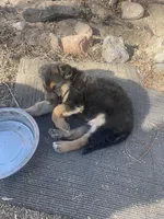 processed/d1b1ba84-a7e5-43c6-a51c-f9f2e6513ee9/facility/3935009d-f685-4070-9daa-1a2ffebe1171