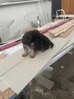 processed/d1b1ba84-a7e5-43c6-a51c-f9f2e6513ee9/facility/7b0da98a-cf22-4907-bd80-207a64f7db59