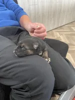 processed/d1b1ba84-a7e5-43c6-a51c-f9f2e6513ee9/facility/9e558498-d1bb-47af-ba7a-353639df4016