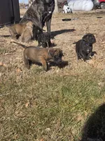 processed/d1b29289-008c-43f7-bd2c-dfa4ae324309/listing/4d8f9a3b-f978-465d-a4f3-cdd59932094d/1ccd8061-49f6-4859-82b3-61d60572cd27