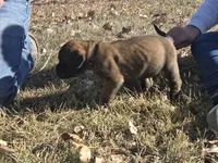 processed/d1b29289-008c-43f7-bd2c-dfa4ae324309/listing/4d8f9a3b-f978-465d-a4f3-cdd59932094d/79f4a2c5-e8ad-4dfa-b6c1-5ccc04174936