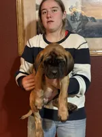 processed/d1b29289-008c-43f7-bd2c-dfa4ae324309/listing/4d8f9a3b-f978-465d-a4f3-cdd59932094d/9324aba3-53a6-4c28-acb1-8cf36225c2e7