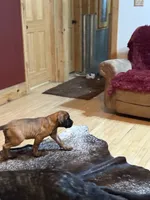 processed/d1b29289-008c-43f7-bd2c-dfa4ae324309/listing/4d8f9a3b-f978-465d-a4f3-cdd59932094d/e881b31b-8d9b-405a-b4c2-608a0239b5cb