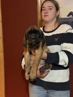 processed/d1b29289-008c-43f7-bd2c-dfa4ae324309/listing/4d8f9a3b-f978-465d-a4f3-cdd59932094d/f6e35184-2509-4c32-b19e-73130fc98cbe