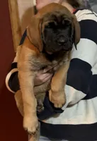 processed/d1b29289-008c-43f7-bd2c-dfa4ae324309/listing/d2e27f24-ec56-447a-bcb7-3e8e4418ddda/ce4edc1e-c59d-46bf-96b1-6d82700bddd7