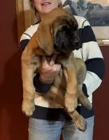 processed/d1b29289-008c-43f7-bd2c-dfa4ae324309/listing/d2e27f24-ec56-447a-bcb7-3e8e4418ddda/d51163c0-a971-466d-81af-addda60176a1