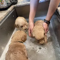 processed/d1b596d8-10fd-401d-a1d6-31161c2d543a/facility/28512172-389a-4bae-99ee-b36c4bda8b2d