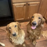 processed/d1b596d8-10fd-401d-a1d6-31161c2d543a/facility/4b5a6af2-1485-468f-99d2-4588fde9cda6