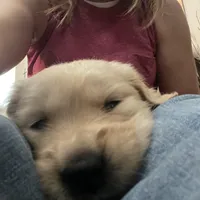 processed/d1b596d8-10fd-401d-a1d6-31161c2d543a/facility/5a973dc5-97fb-43a8-ad67-1a9f9c05485d