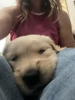 processed/d1b596d8-10fd-401d-a1d6-31161c2d543a/facility/5a973dc5-97fb-43a8-ad67-1a9f9c05485d