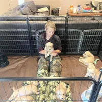 processed/d1b596d8-10fd-401d-a1d6-31161c2d543a/facility/769a77b0-0899-46f3-8eb9-aae37d9b54fa