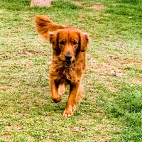 processed/d1b596d8-10fd-401d-a1d6-31161c2d543a/facility/973b876e-32a3-431a-ae89-75fd7b9dcf3c