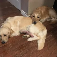 processed/d1b596d8-10fd-401d-a1d6-31161c2d543a/facility/b14c3cc3-61a0-4941-bda6-60327898f68a