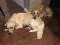 processed/d1b596d8-10fd-401d-a1d6-31161c2d543a/facility/b14c3cc3-61a0-4941-bda6-60327898f68a