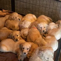 processed/d1b596d8-10fd-401d-a1d6-31161c2d543a/facility/c1e29d12-fca7-44ac-86cf-08e528baefbb