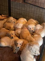 processed/d1b596d8-10fd-401d-a1d6-31161c2d543a/facility/c1e29d12-fca7-44ac-86cf-08e528baefbb