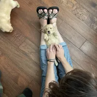 processed/d1b596d8-10fd-401d-a1d6-31161c2d543a/facility/c35a5de1-f101-4d22-a49e-8e693ce8b868