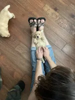 processed/d1b596d8-10fd-401d-a1d6-31161c2d543a/facility/c35a5de1-f101-4d22-a49e-8e693ce8b868