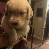 processed/d1b596d8-10fd-401d-a1d6-31161c2d543a/facility/ff9123ec-d687-4925-97f7-a6250845fe19