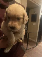 processed/d1b596d8-10fd-401d-a1d6-31161c2d543a/facility/ff9123ec-d687-4925-97f7-a6250845fe19