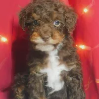 processed/d1bbffbc-c762-4ad5-9428-53b8d487833f/facility/7938bca3-92cb-43a8-a398-a89556b6cea3