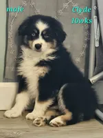 processed/d1be9e9a-dd2e-45c1-83b3-58cad15008c4/listing/0b4f30a6-63d5-4ef8-a028-ee7b236eaf60/4a3909a0-10cc-43c0-aee2-ba2ba0041535