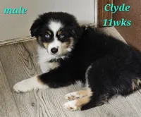 processed/d1be9e9a-dd2e-45c1-83b3-58cad15008c4/listing/0b4f30a6-63d5-4ef8-a028-ee7b236eaf60/65d54ad4-2d7e-43e0-afdc-265c17245147