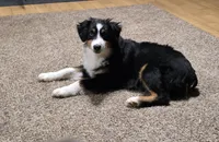 processed/d1be9e9a-dd2e-45c1-83b3-58cad15008c4/listing/0b4f30a6-63d5-4ef8-a028-ee7b236eaf60/e74bd7dd-ab2c-480e-8a10-5a8bd1472940